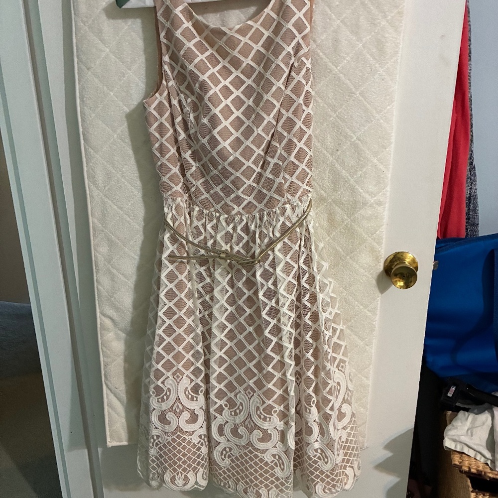 Vintage Eliza B women's Netting and lace dress with Beige lining. Small